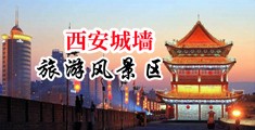 逼逼好痒,好想看大鸡巴插插的视频中国陕西-西安城墙旅游风景区